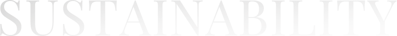 textbg02